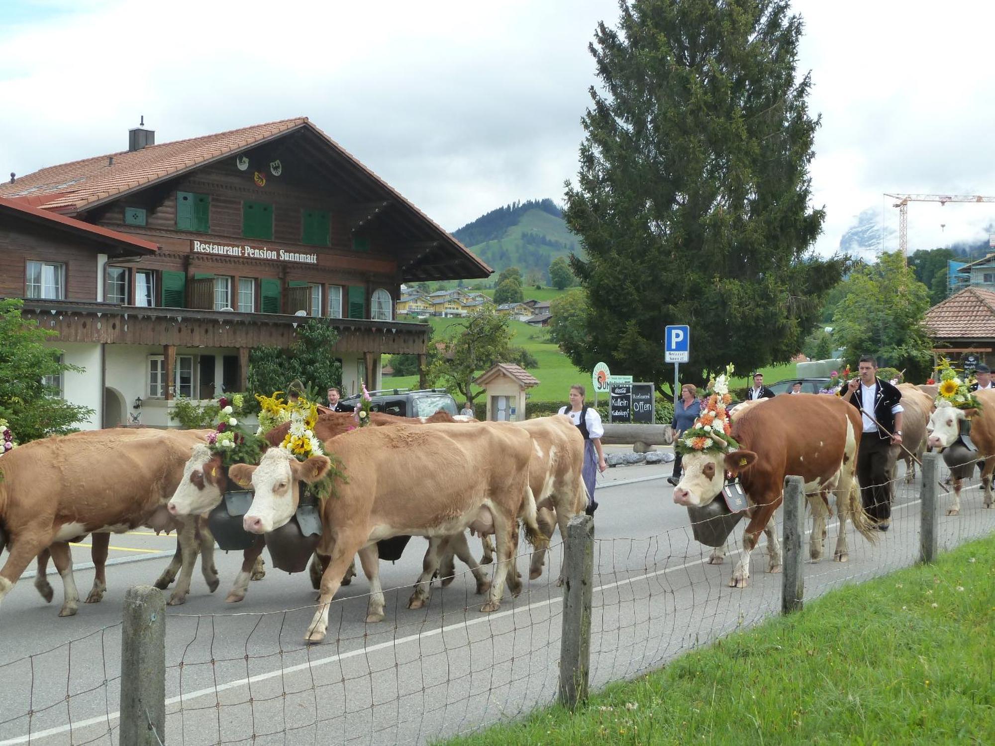 Hotel Restaurant Sunnmatt Aeschi Bei Spiez Екстериор снимка