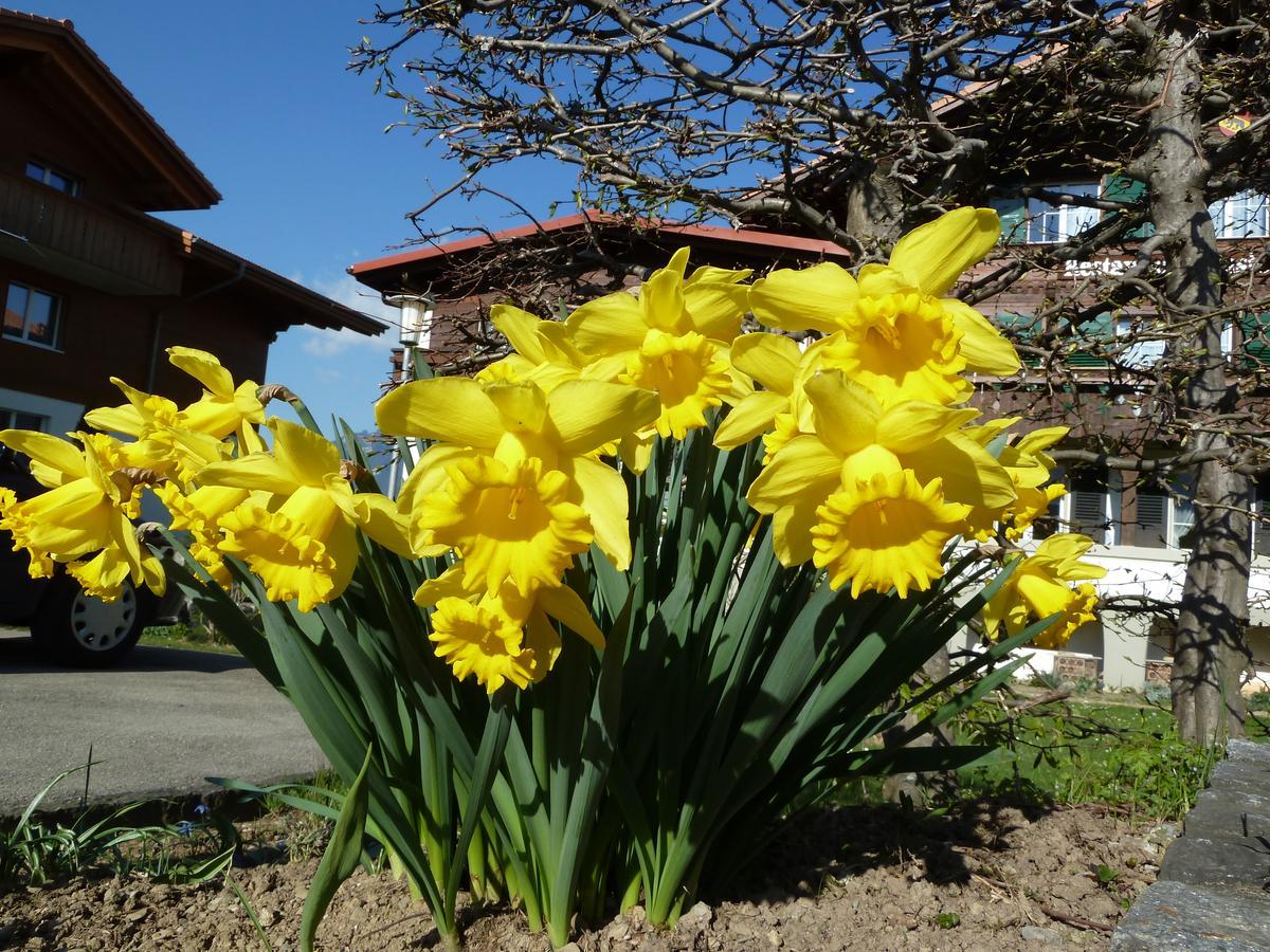 Hotel Restaurant Sunnmatt Aeschi Bei Spiez Екстериор снимка
